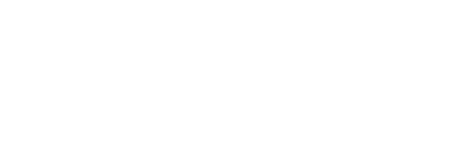 Nelson-Logo